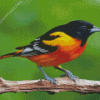 Mosaic Bird Baltimore Oriole Diamond Painting