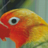 Orange And Green Bird Head Diamond Painting