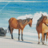 Sable Island Horses Diamond Painting