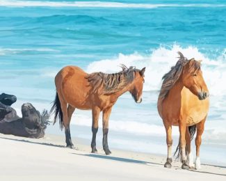 Sable Island Horses Diamond Painting