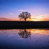 Silhouette Tree By Water At Sunset Diamond Painting