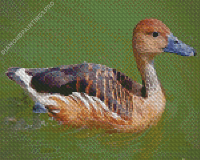 Whistling Duck Swimming Diamond Painting