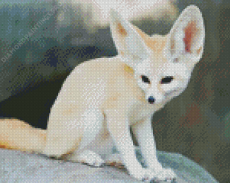 White Fennec Fox Diamond Painting