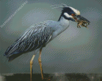Aesthetic Grey Heron Bird Diamond Painting