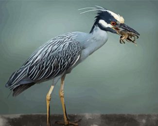 Aesthetic Grey Heron Bird Diamond Painting