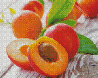 Apricot Fruits Diamond Painting