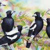 Australian Magpie Birds Diamond Painting