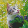 Cat In The Flowers Field Diamond Painting