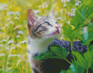 Cat In The Flowers Field Diamond Painting