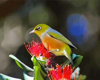 Cute Bird On Pohutukawa Flower Diamond Painting