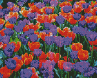 Orange And Purple Tulips Flowers Diamond Painting