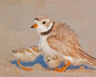 Piping Plover And Chicks Diamond Painting