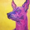 Purple Xolo Dog Art Diamond Painting