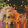 Sleepy Dog At Christmas Diamond Painting