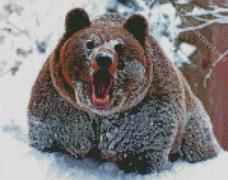 Snowy Angry Bear Diamond Painting