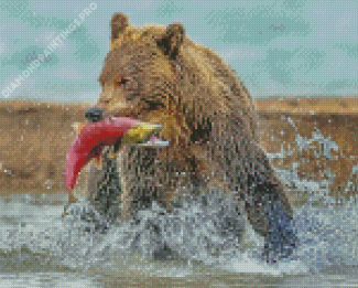 Bear With Fish Diamond Paintings