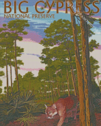 Big Cypress National Preserve Poster Diamond Painting