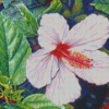 Blooming White Hibiscus Diamond Paintings