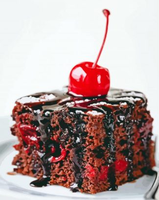 Cherry Chocolate Cake Diamond Painting