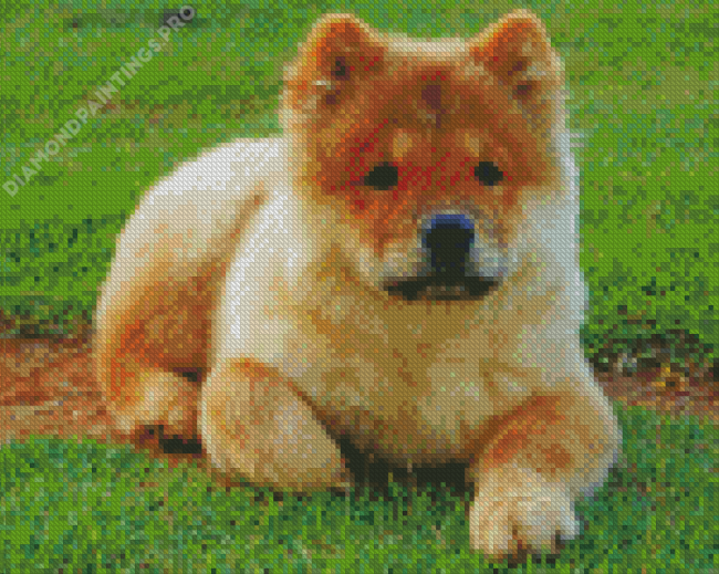 Chow Chow Puppy Diamond Painting