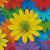 Colorful Daisy Diamond Painting