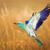 European Roller Bird Diamond Painting