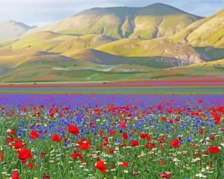 Flower Fields Italy Landscape Diamond Painting