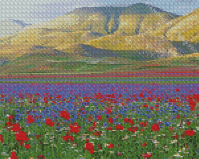 Flower Fields Italy Landscape Diamond Painting