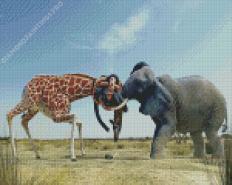 Giraffe With Elephant Fighting Diamond Paintings