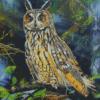 Long Eared Owl Diamond Painting