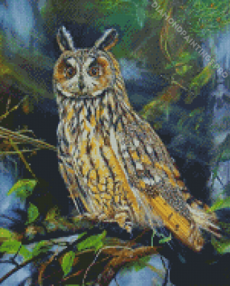 Long Eared Owl Diamond Painting