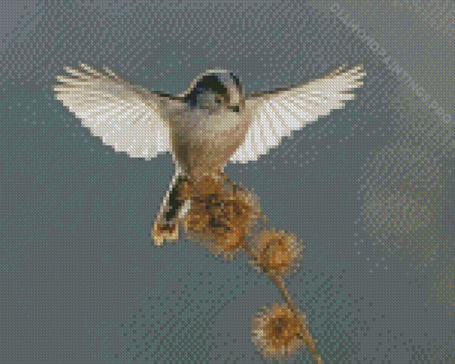 Long Tailed Tit In A Flight Diamond Paintings