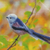 Long Tailed Tit Bird On A Branch Diamond Paintings