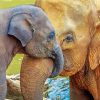 Mom And Baby Elephant Snuggling Diamond Paintings