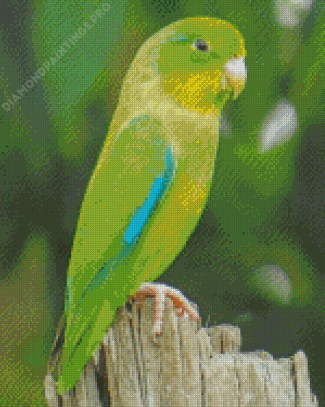 Parrotlet Bird On Tree Diamond Paintings