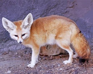 Phoenix Fox Animal Diamond Paintings