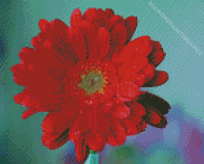 Red Gerbera Daisy Water Drops Diamond Painting