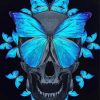 Skull And Butterflies Diamond Paintings