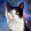 Space Cat Diamond Painting