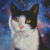 Space Cat Diamond Painting