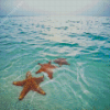 Starfish In Beach Diamond Painting