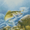 Walleye Fishing Diamond Painting