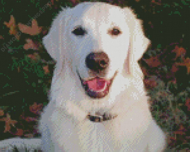 White Golden Retriever Dog Diamond Painting