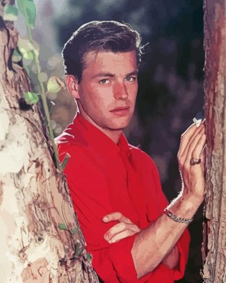 Young Actor Robert Wagner Diamond Painting