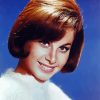 Young Actress Stefanie Powers Diamond Painting