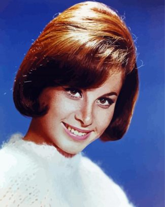 Young Actress Stefanie Powers Diamond Painting