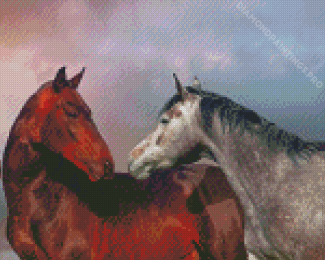 Beautiful Couple Horses Diamond Painting