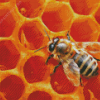 Bee In Hive Diamond Painting