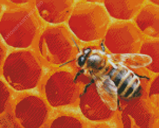 Bee In Hive Diamond Painting