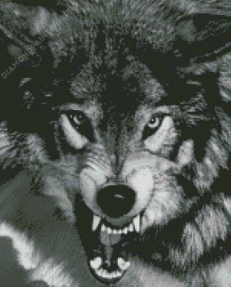Black And White Angry Wolf Diamond Painting